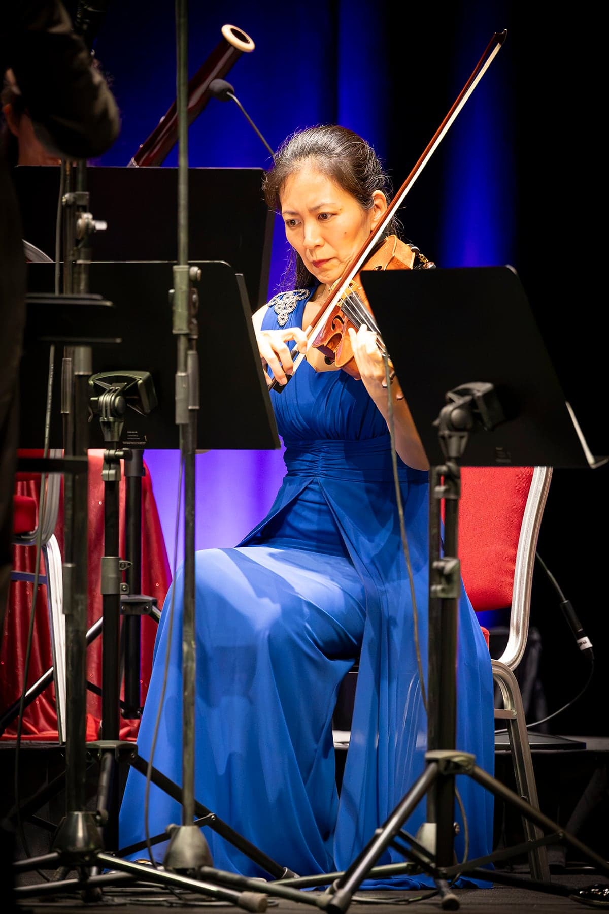 Violin, Malta 2026