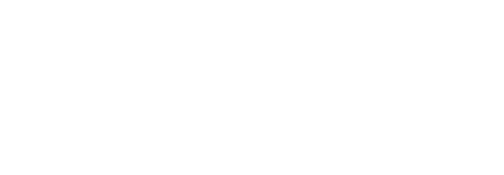 Schönbrunn Palace Orchestra Vienna